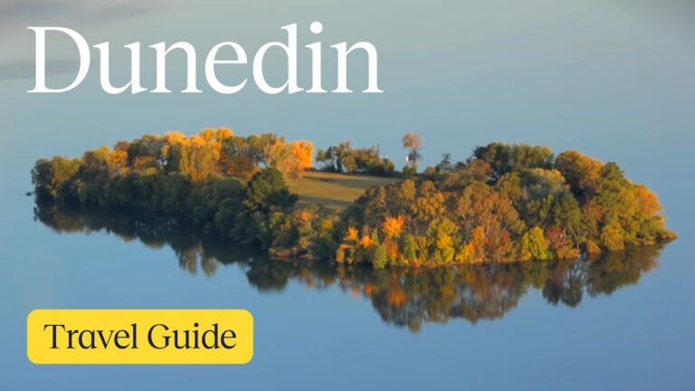 Dunedin Vacation Travel Guide | Expedia